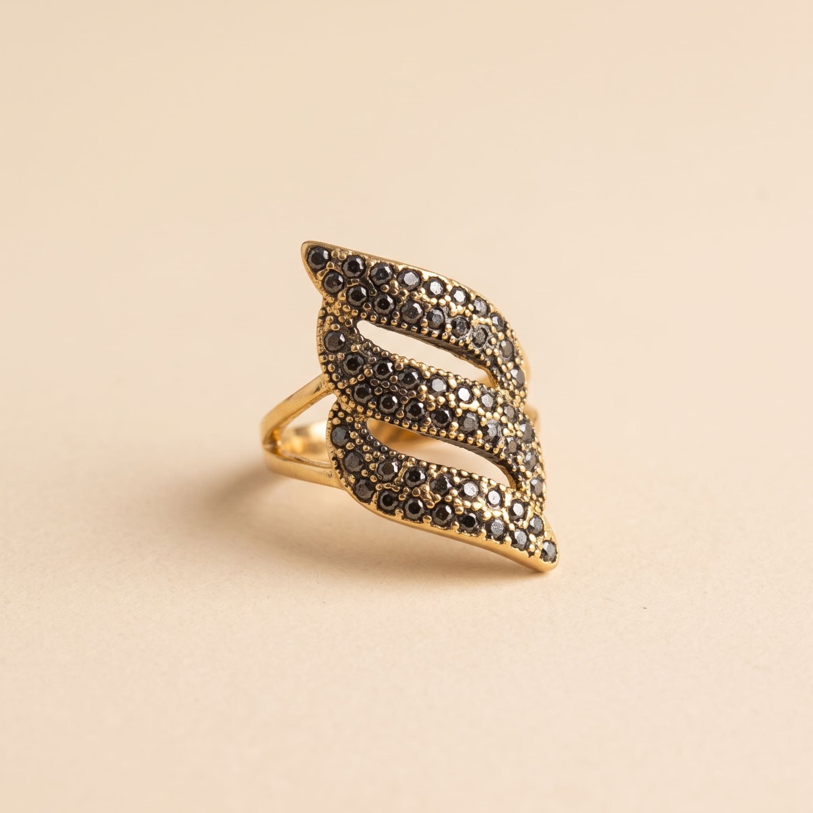 Bague Ala - Acier Inoxydable Garantie